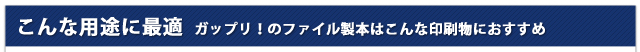 こんな用途に最適|ガップリ!のファイル製本はこんな印刷物におすすめ