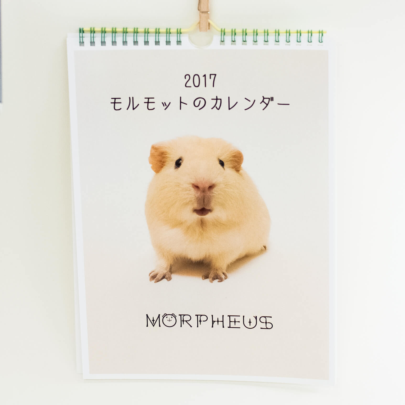 「MORPHEUS 様」製作のオリジナルカレンダー