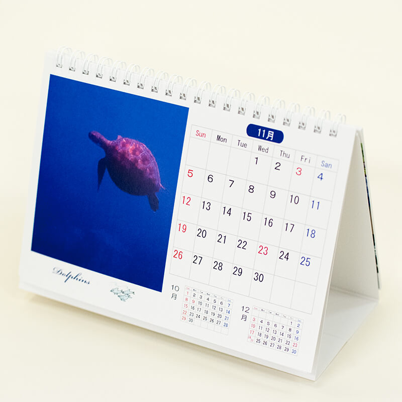 「dolphins 様」製作のオリジナルカレンダー ギャラリー写真2