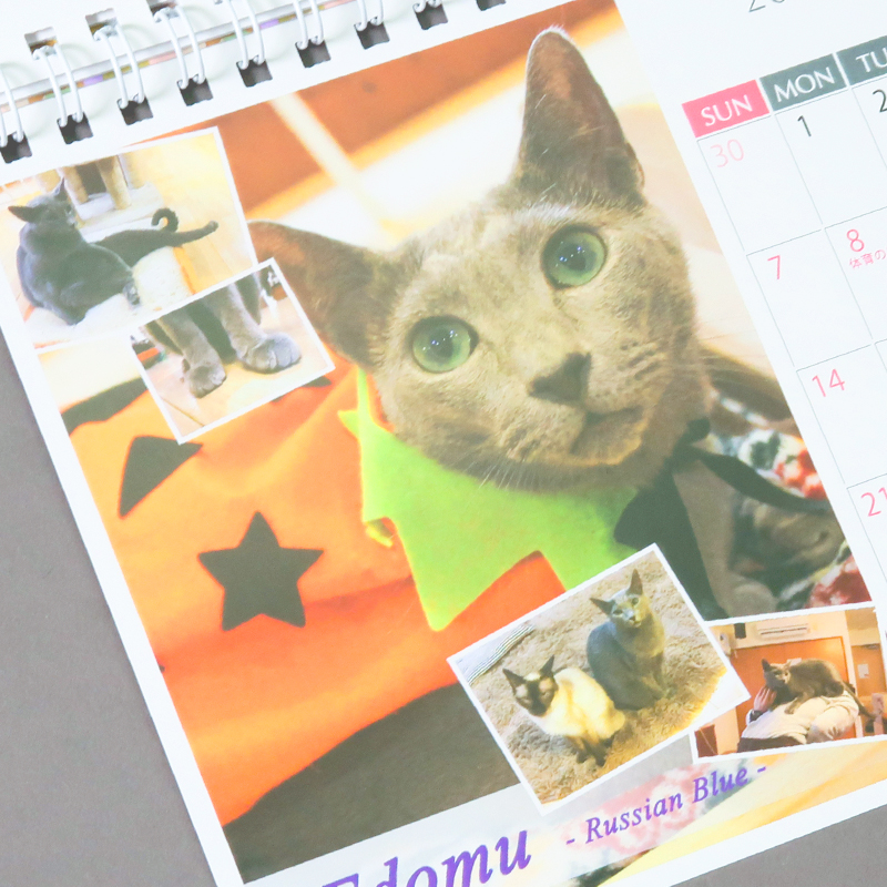 「猫喫茶「猫の箱」 様」製作のオリジナルカレンダー ギャラリー写真2