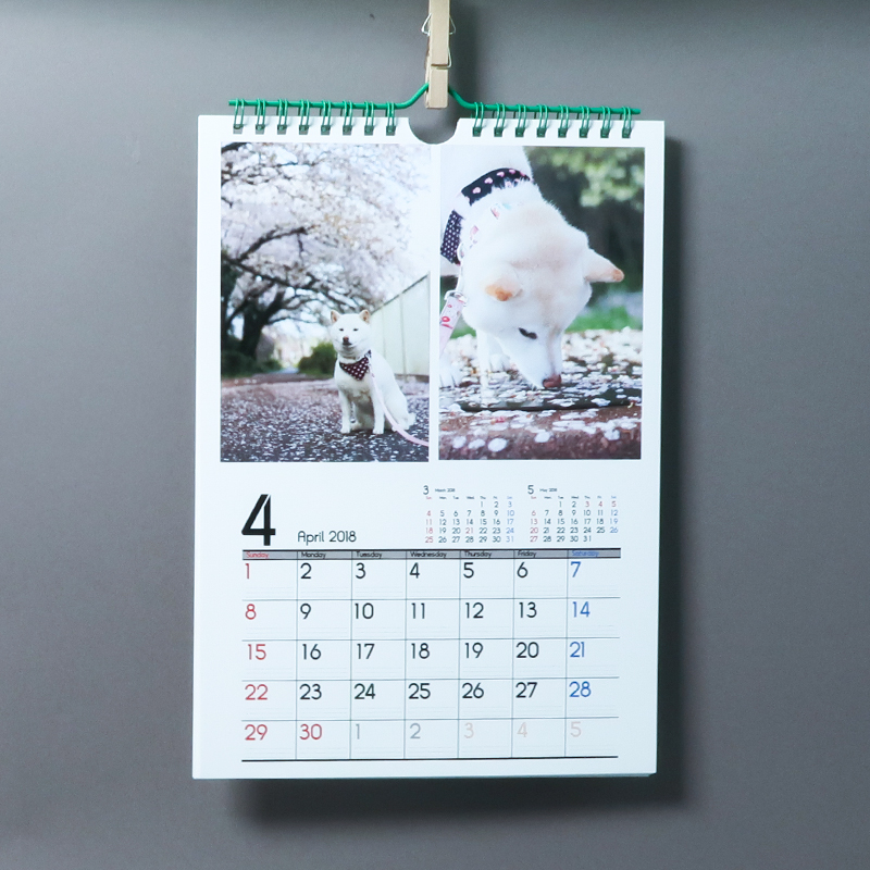 「細川  久美子 様」製作のオリジナルカレンダー ギャラリー写真2