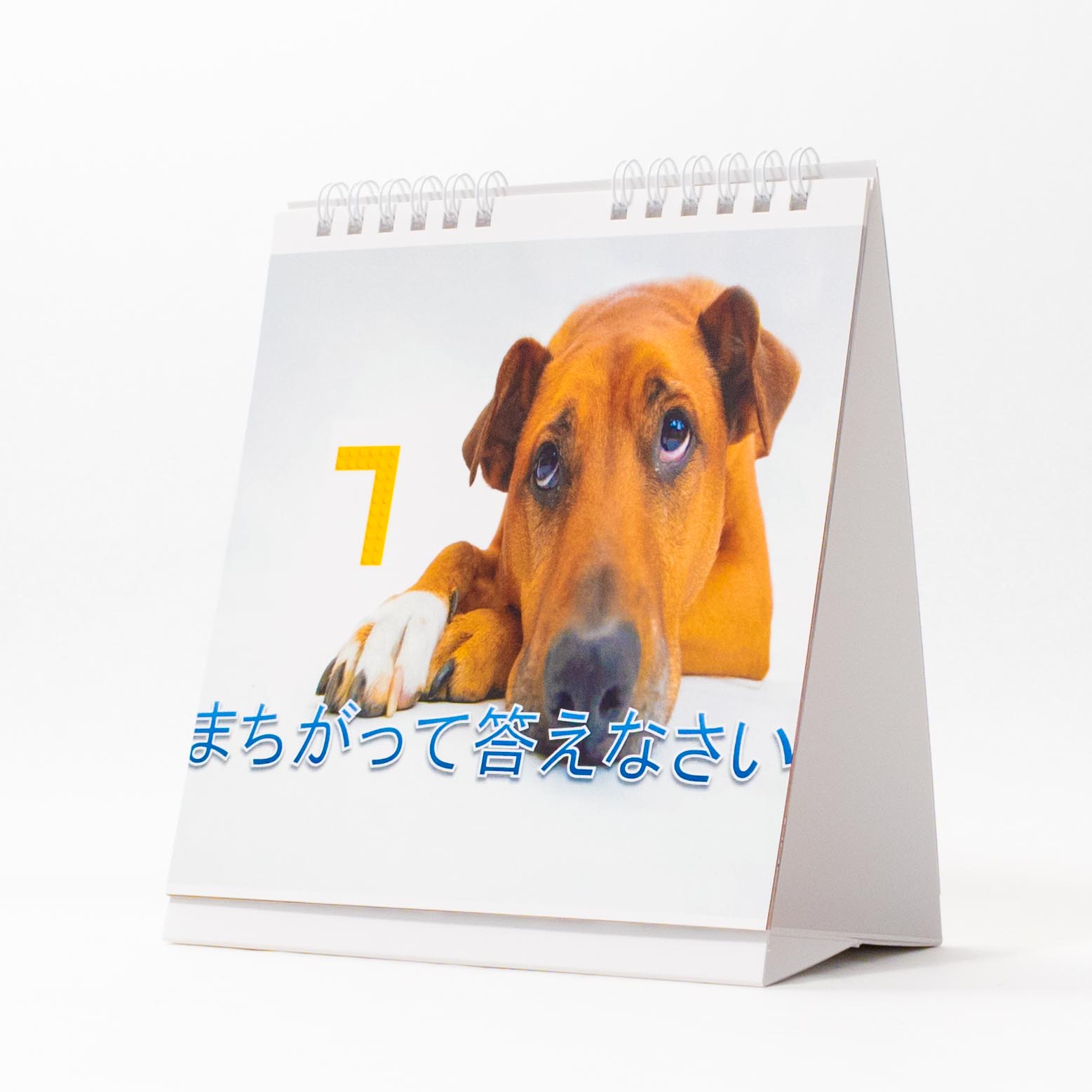 「堀　智子 様」製作のオリジナルカレンダー ギャラリー写真2