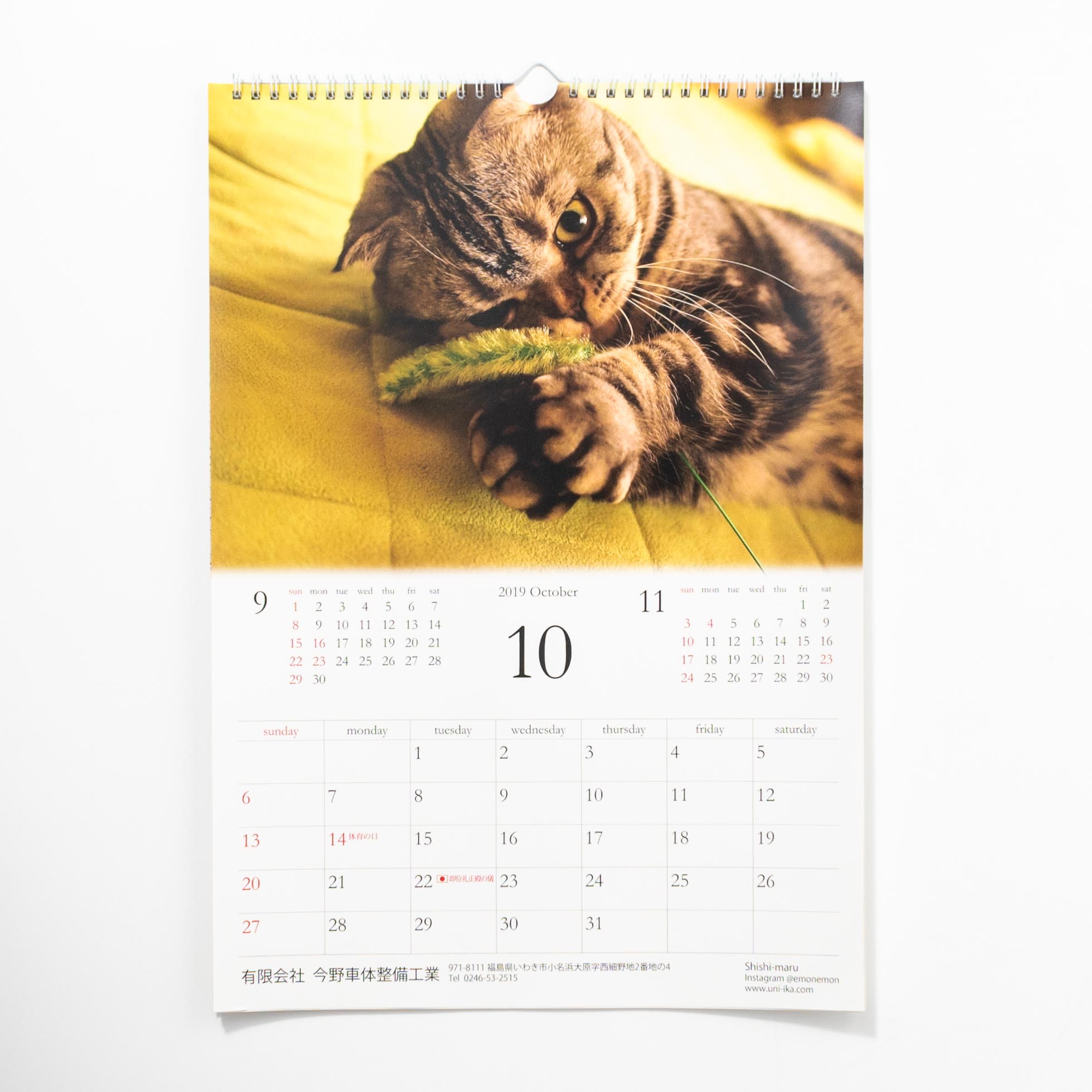 「Taco 様」製作のオリジナルカレンダー ギャラリー写真1