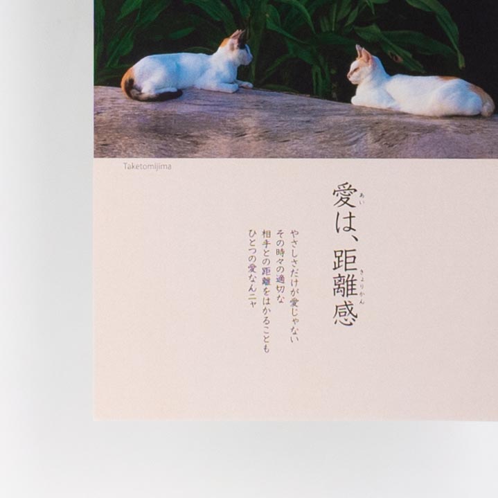 「松島  由布子 様」製作のオリジナルカレンダー ギャラリー写真3