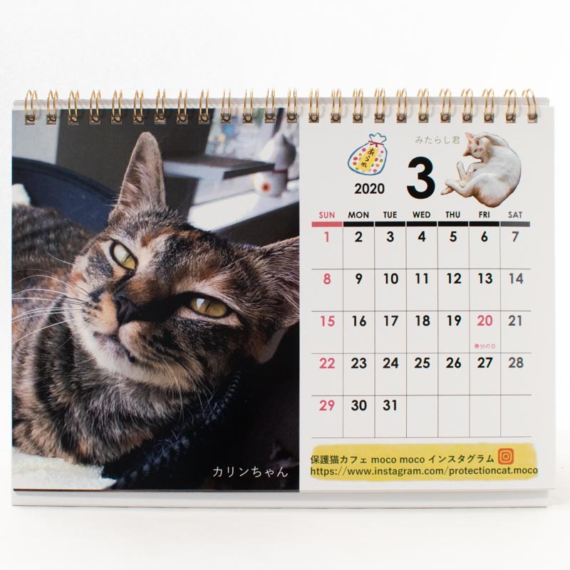 「保護猫カフェmoco moco 様」製作のオリジナルカレンダー ギャラリー写真1