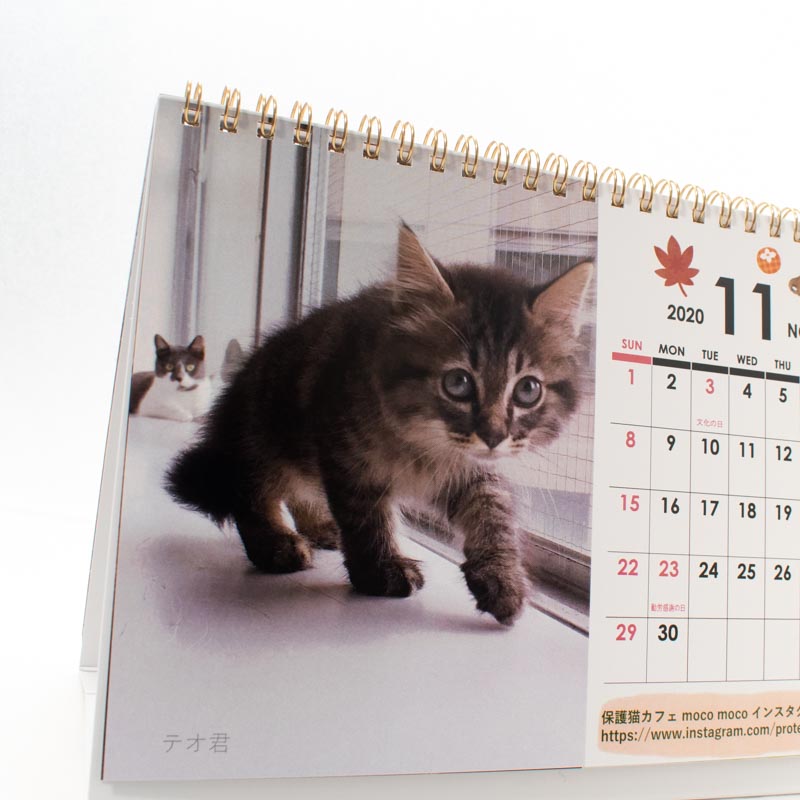 「保護猫カフェmoco moco 様」製作のオリジナルカレンダー ギャラリー写真2