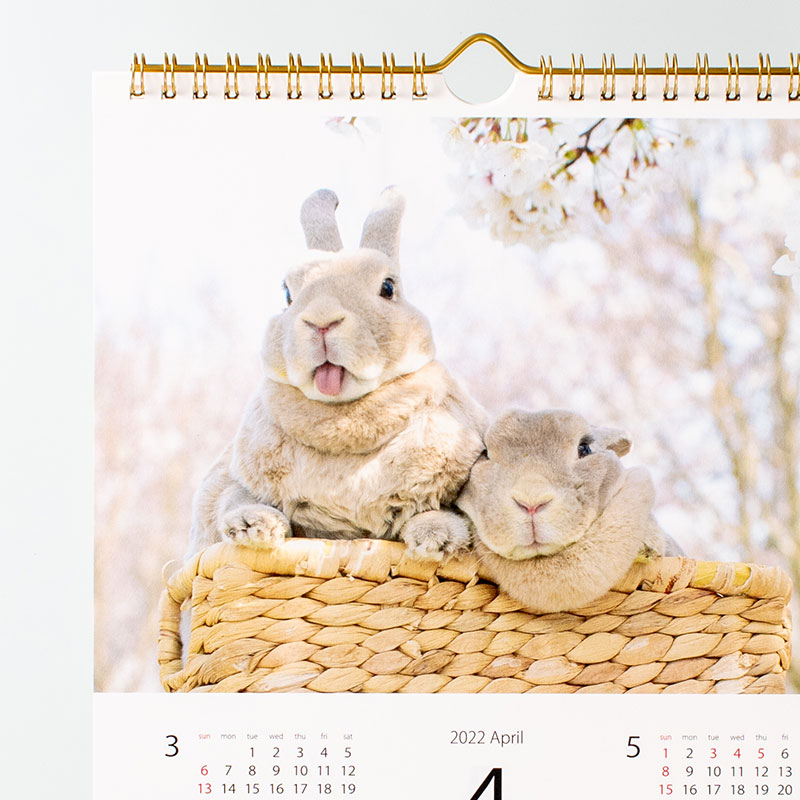 「Time is Bunny 様」製作のオリジナルカレンダー ギャラリー写真3