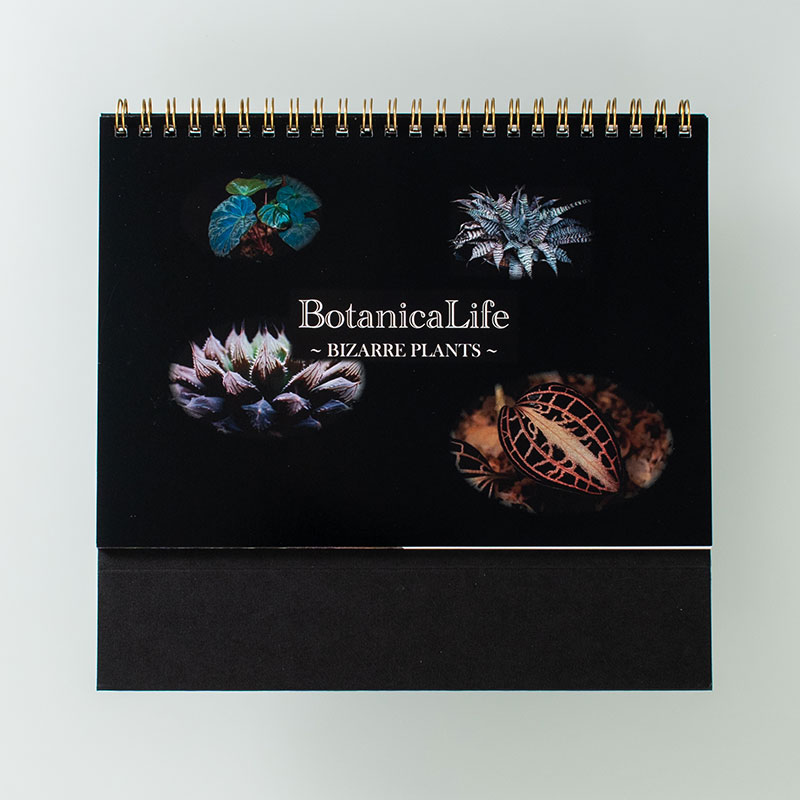 「BotanicaLife　RANMARU 様」製作のオリジナルカレンダー