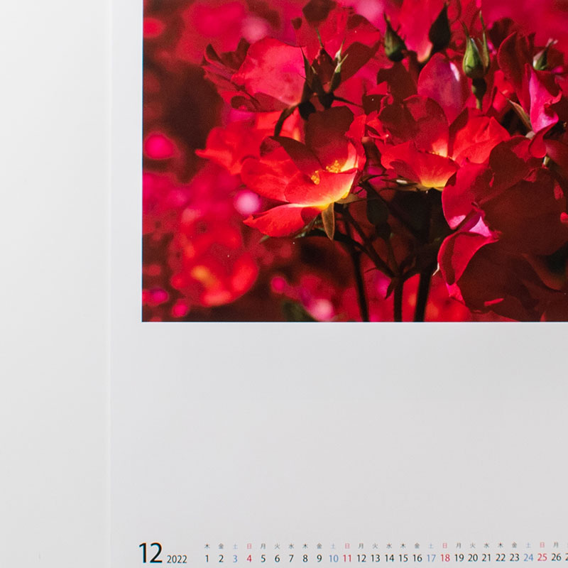 「横浜ばら写真の会 様」製作のオリジナルカレンダー ギャラリー写真3