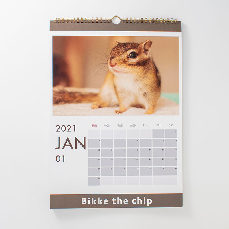 「Bikke the chip 様」製作のオリジナルカレンダー ギャラリー写真1