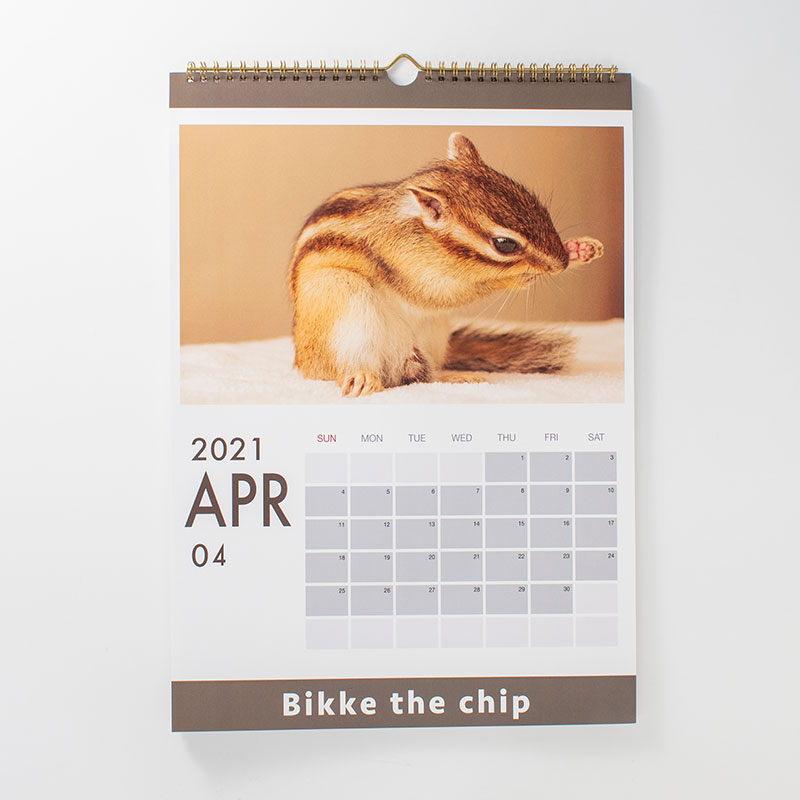 「Bikke the chip 様」製作のオリジナルカレンダー ギャラリー写真2