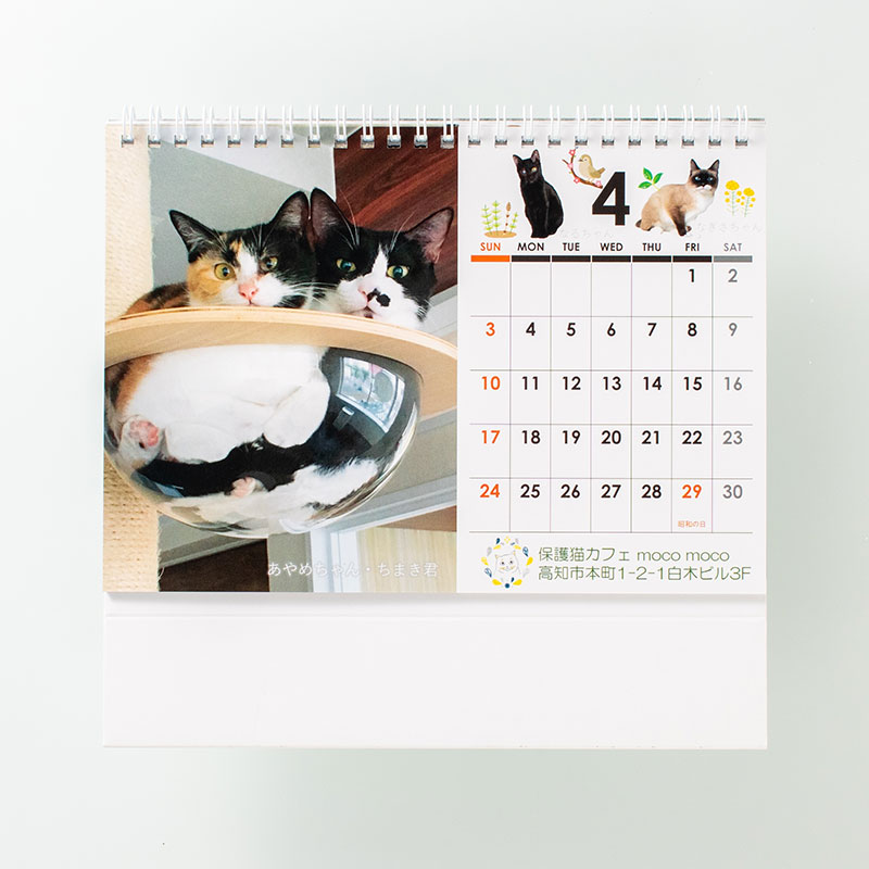 「保護猫カフェmocomoco 様」製作のオリジナルカレンダー ギャラリー写真1