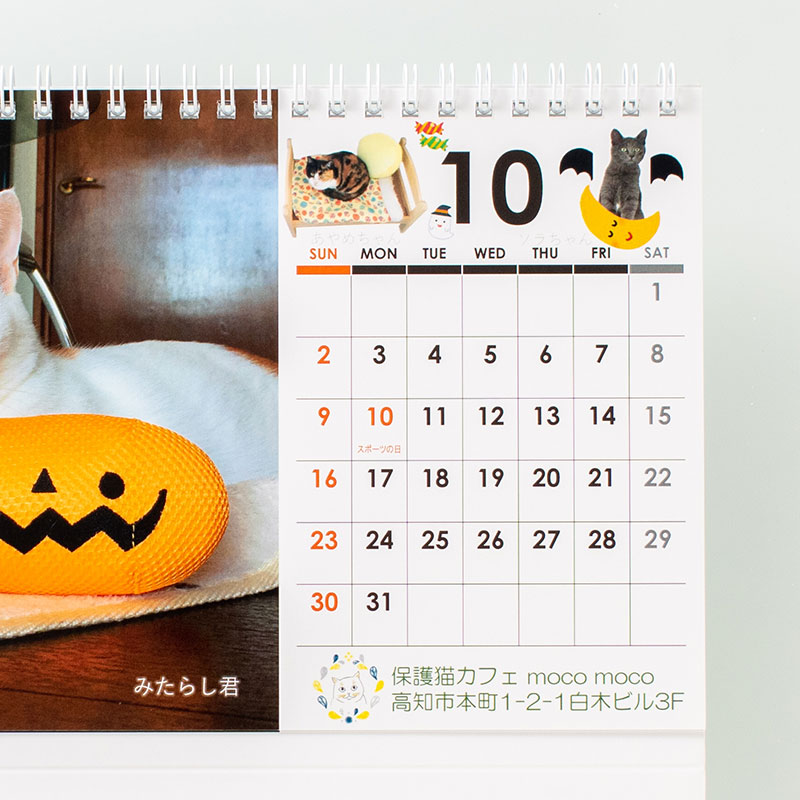 「保護猫カフェmocomoco 様」製作のオリジナルカレンダー ギャラリー写真3