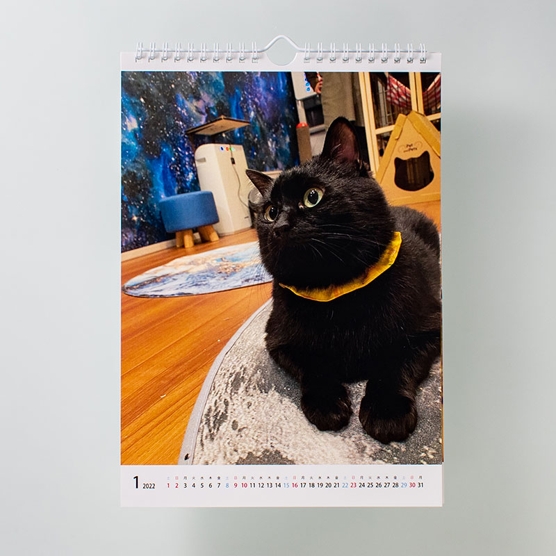 「保護猫カフェ 拝啓ねこ様 ファン 様」製作のオリジナルカレンダー ギャラリー写真1