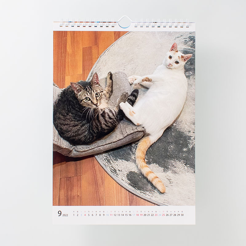 「保護猫カフェ 拝啓ねこ様 ファン 様」製作のオリジナルカレンダー ギャラリー写真2