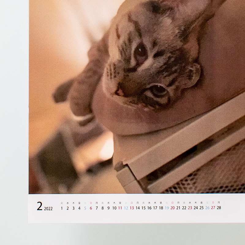 「保護猫カフェ 拝啓ねこ様 ファン 様」製作のオリジナルカレンダー ギャラリー写真3