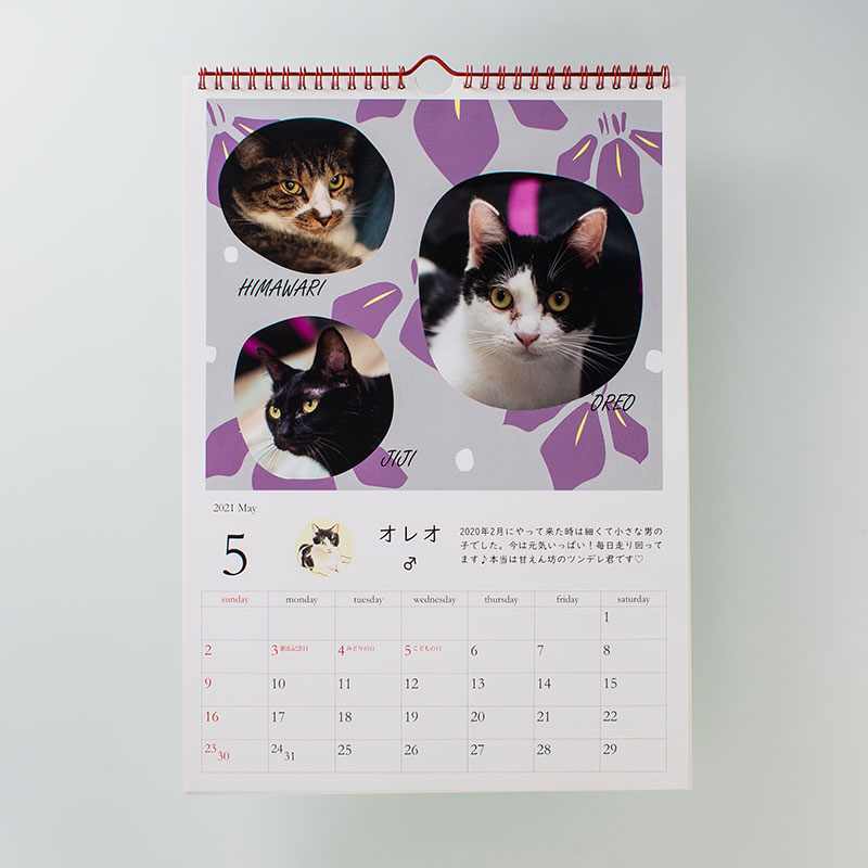 「保護猫ルームWASAO 様」製作のオリジナルカレンダー ギャラリー写真2