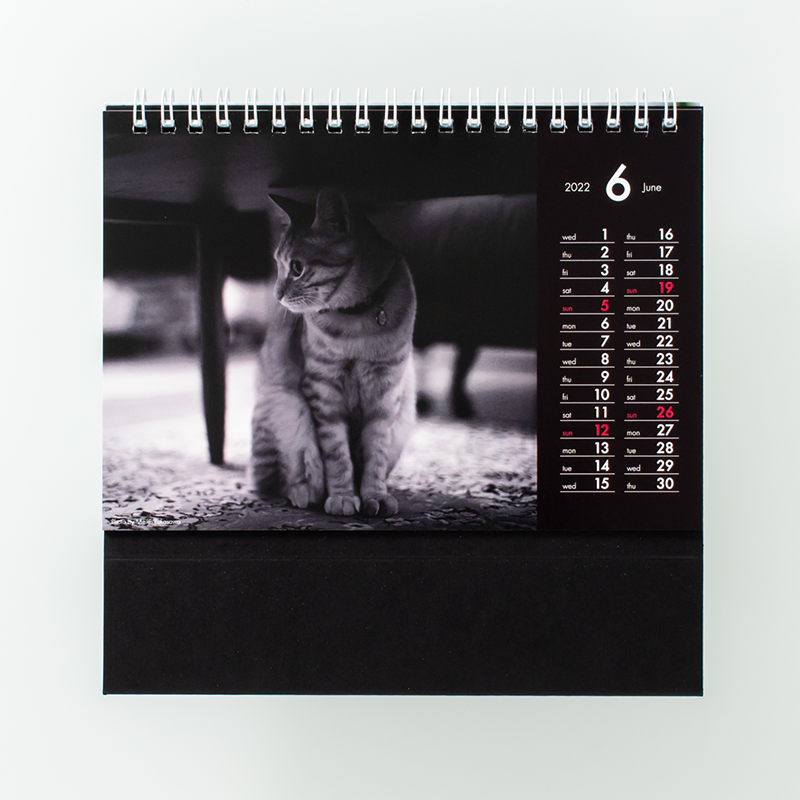 「ASHITA・STYLE株式会社 様」製作のオリジナルカレンダー ギャラリー写真1