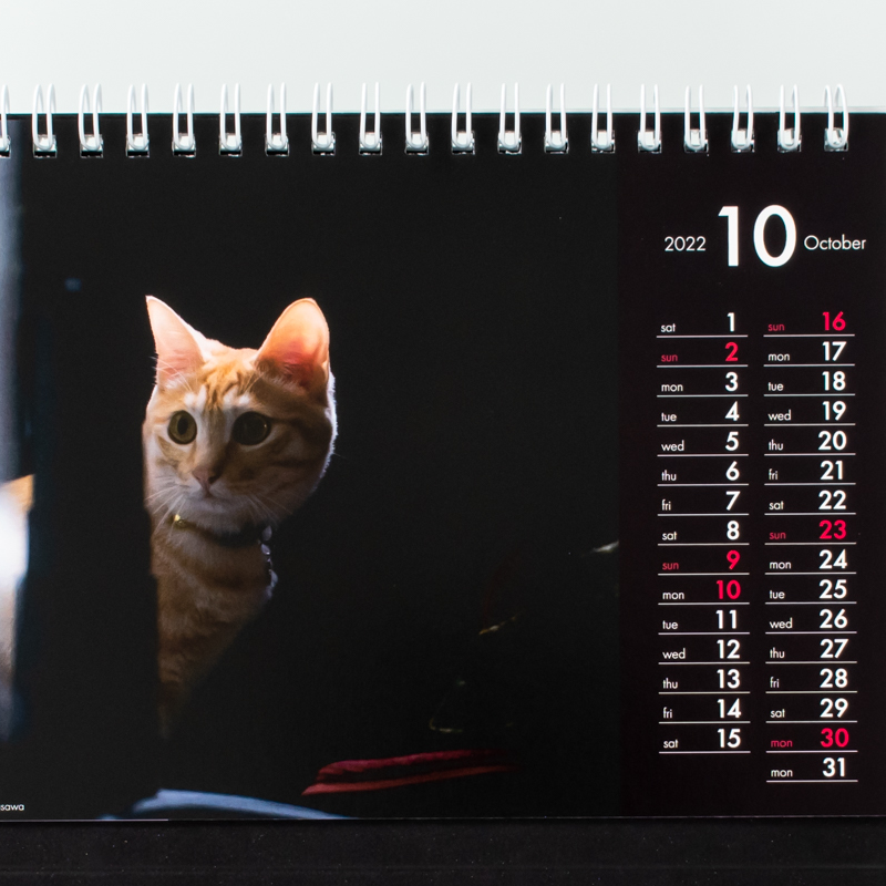 「ASHITA・STYLE株式会社 様」製作のオリジナルカレンダー ギャラリー写真3