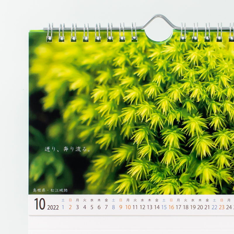 「わださとこ	 様」製作のオリジナルカレンダー ギャラリー写真3