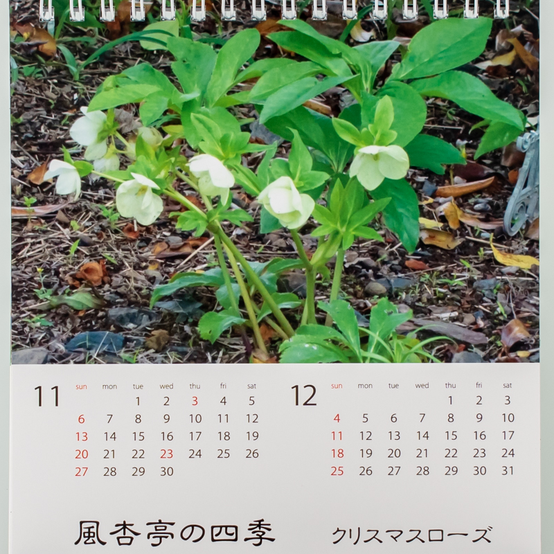 「橘俳句会 様」製作のオリジナルカレンダー ギャラリー写真3