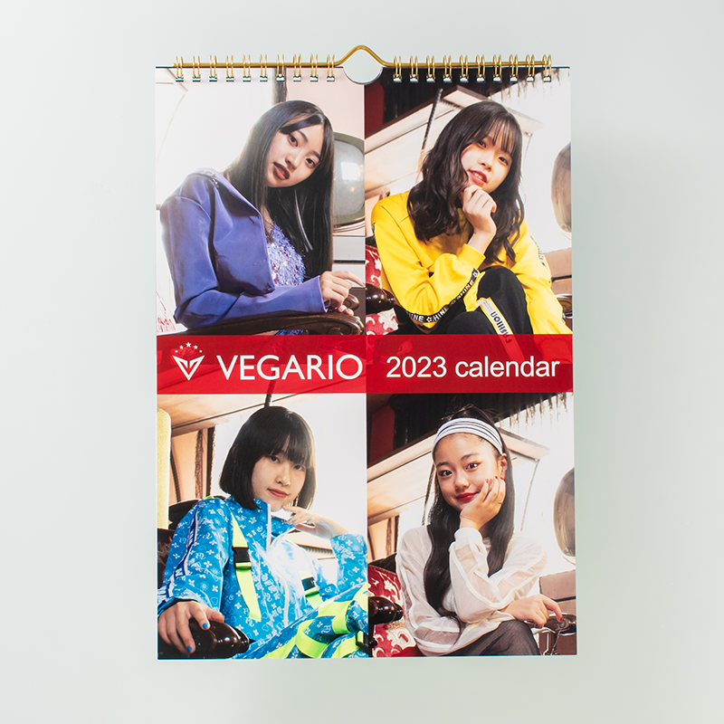 「VEGARIO 様」製作のオリジナルカレンダー