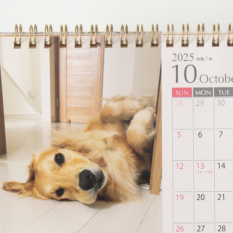 「169Managing合同会社 様」製作のオリジナルカレンダー ギャラリー写真3