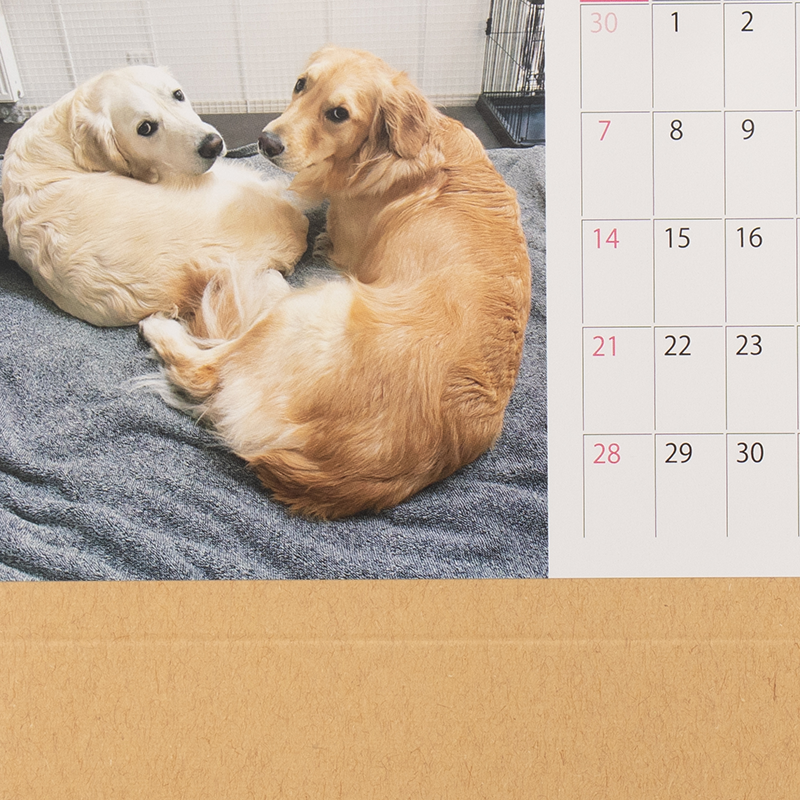 「169Managing合同会社 様」製作のオリジナルカレンダー ギャラリー写真4