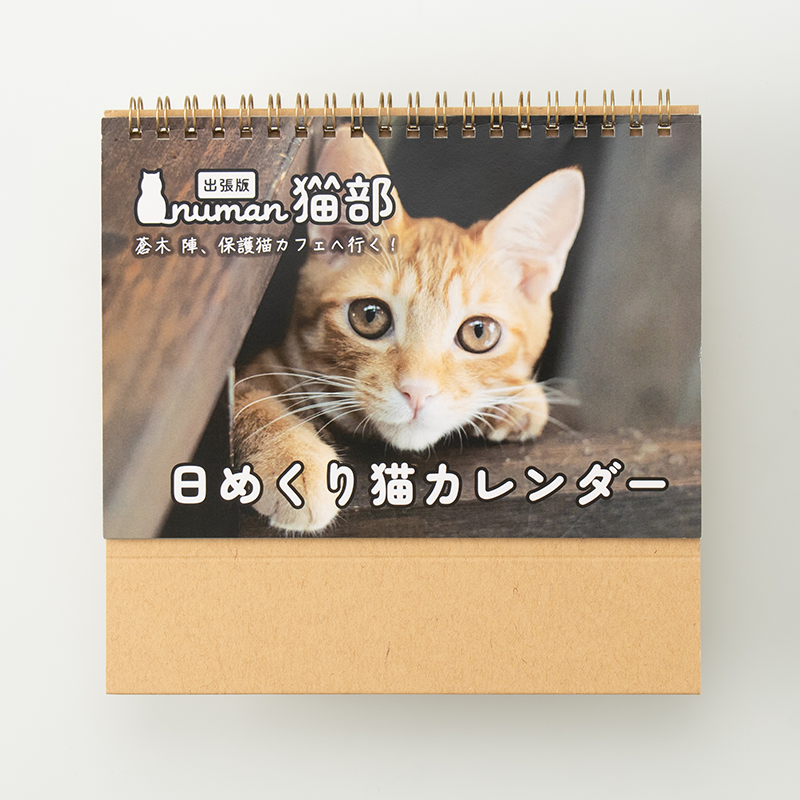 「numan編集部 様」製作のオリジナルカレンダー