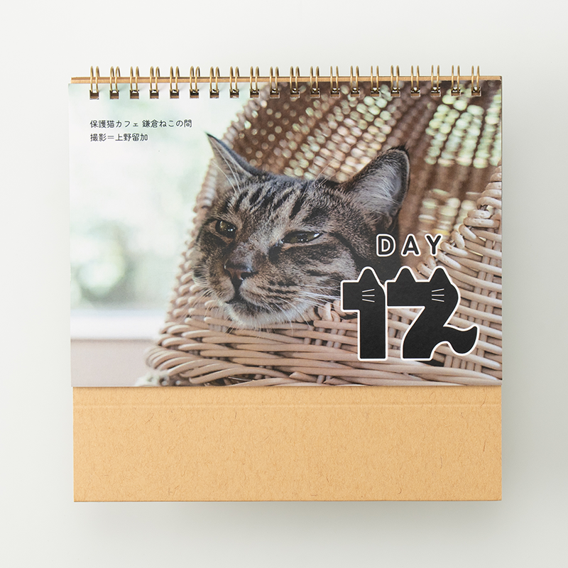 「numan編集部 様」製作のオリジナルカレンダー ギャラリー写真1