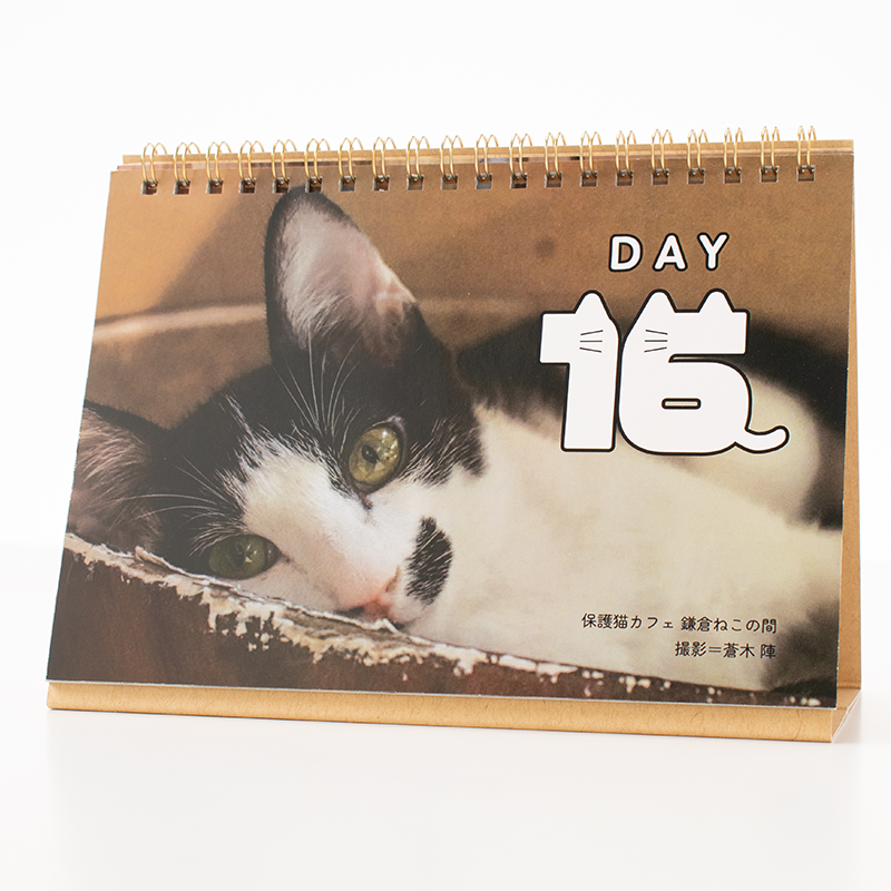 「numan編集部 様」製作のオリジナルカレンダー ギャラリー写真2