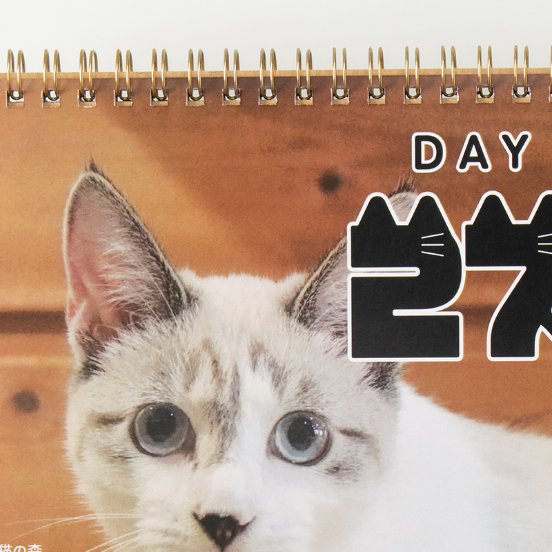 「numan編集部 様」製作のオリジナルカレンダー ギャラリー写真3