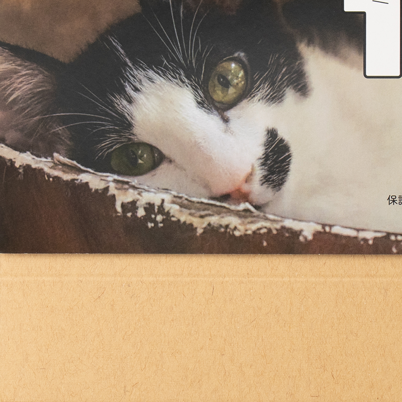 「numan編集部 様」製作のオリジナルカレンダー ギャラリー写真4