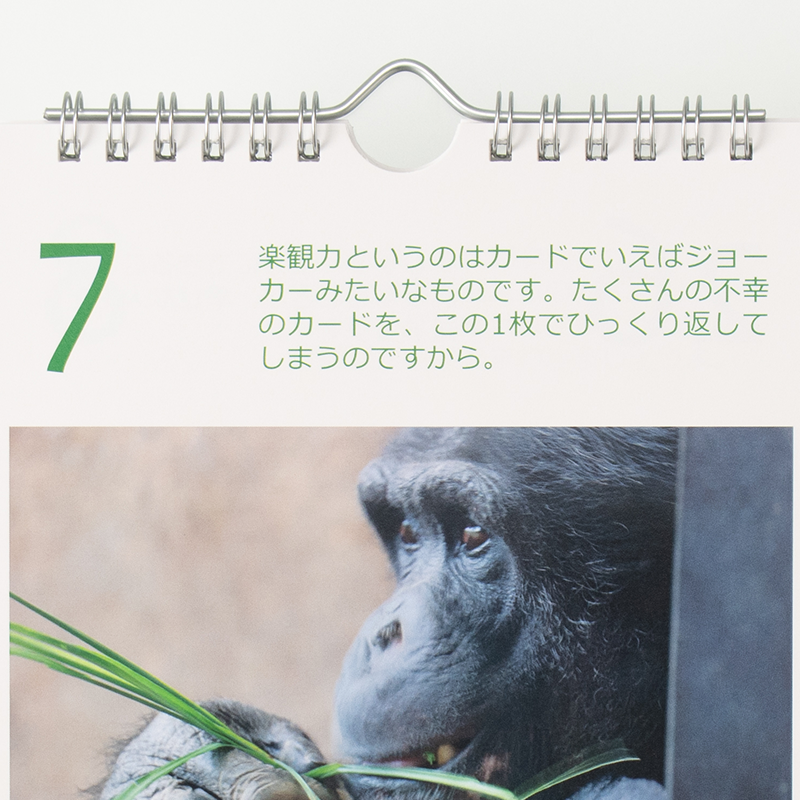 「前野 隆司 様」製作のオリジナルカレンダー ギャラリー写真3