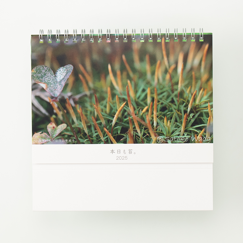 「わださとこ 様」製作のオリジナルカレンダー