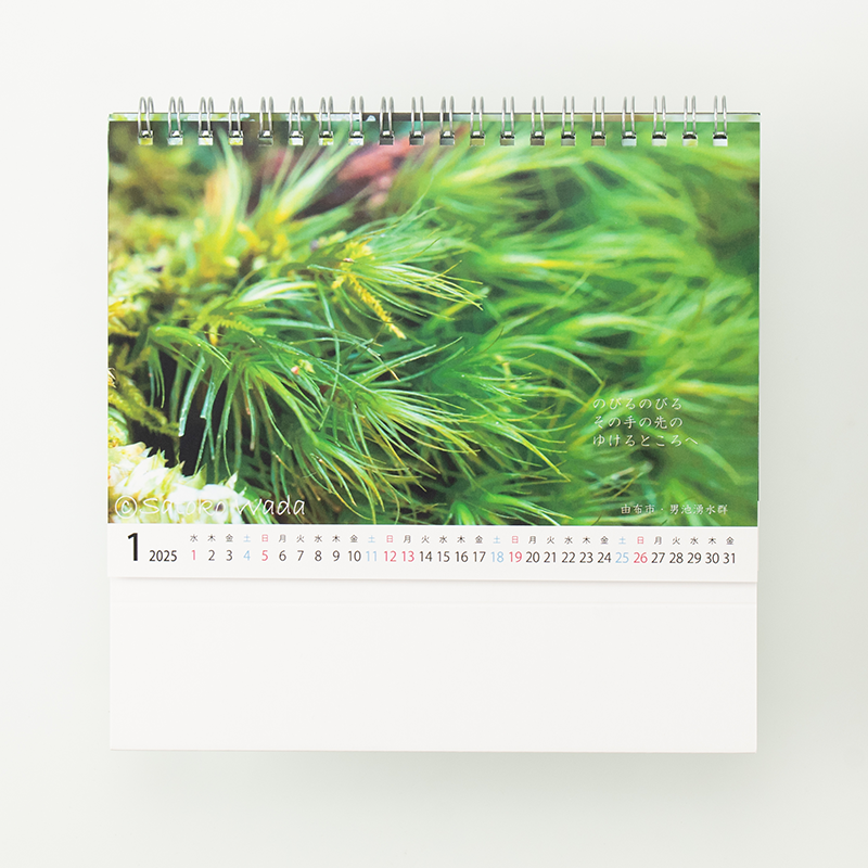 「わださとこ 様」製作のオリジナルカレンダー ギャラリー写真1