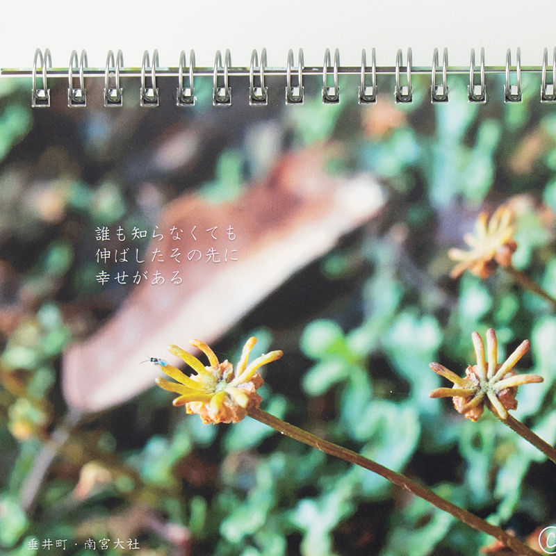 「わださとこ 様」製作のオリジナルカレンダー ギャラリー写真3