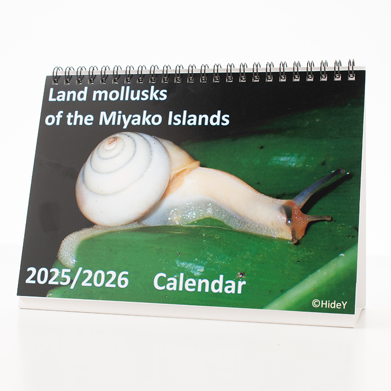 「湯屋 秀捷 様」製作のオリジナルカレンダー ギャラリー写真2