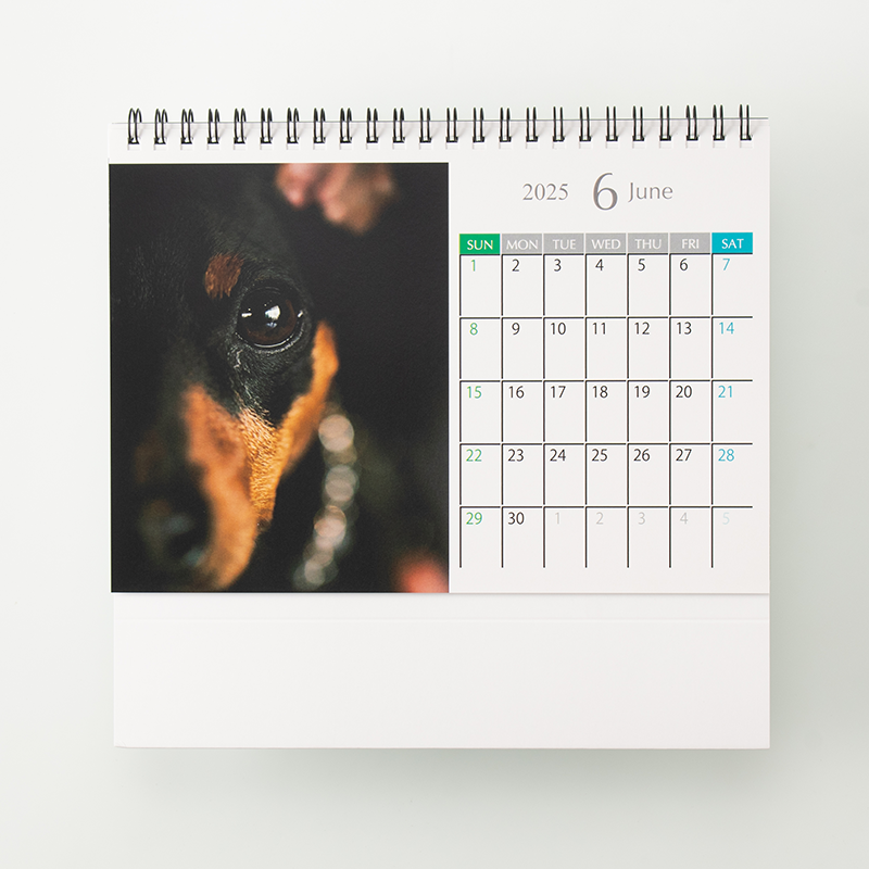 「株式会社エス・ピー・シー 様」製作のオリジナルカレンダー ギャラリー写真1