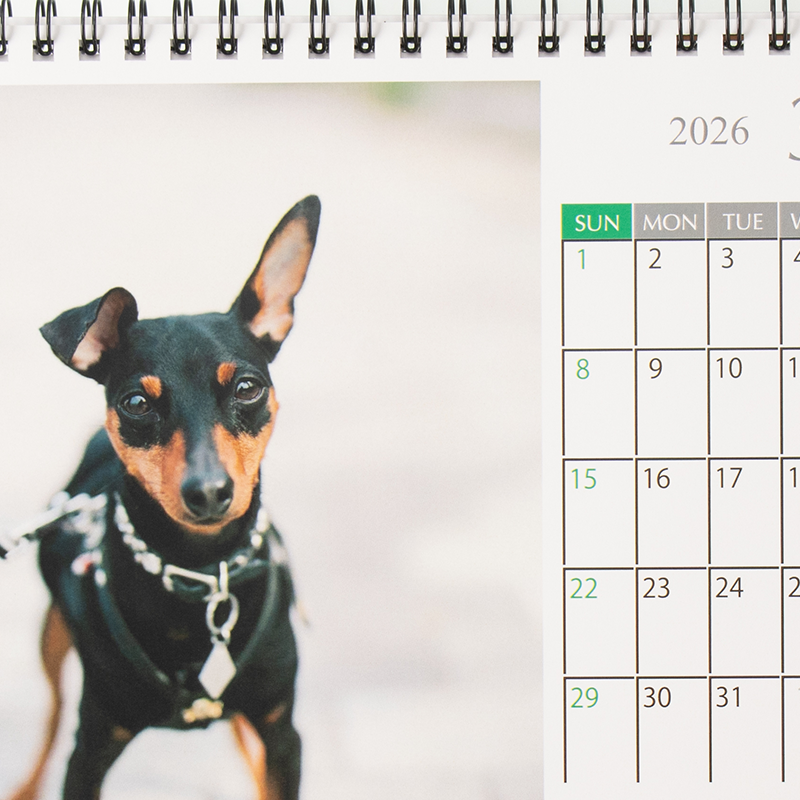 「株式会社エス・ピー・シー 様」製作のオリジナルカレンダー ギャラリー写真3