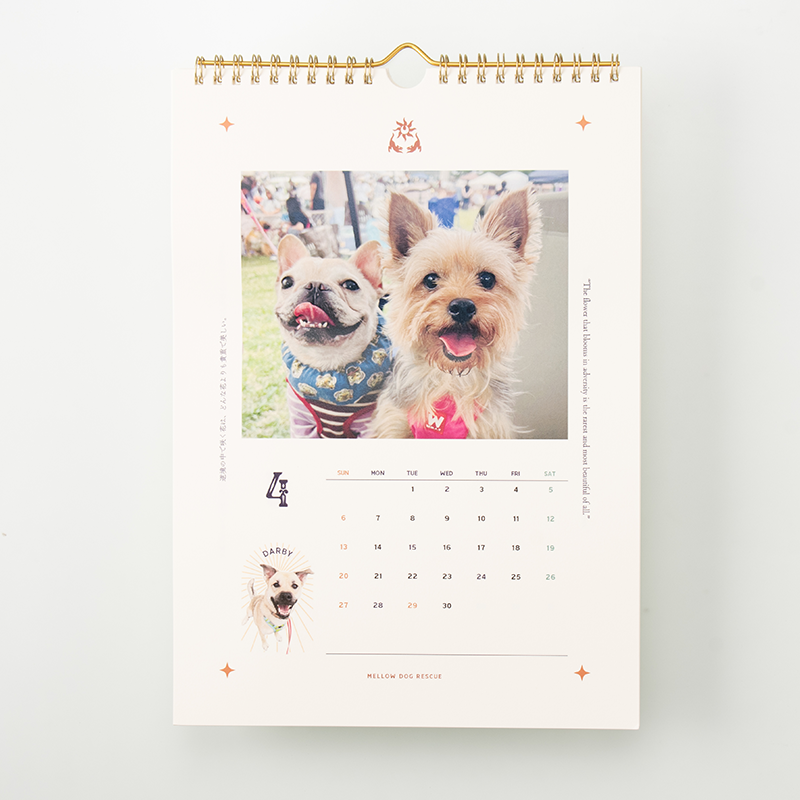 「メロードッグレスキュー 様」製作のオリジナルカレンダー ギャラリー写真1