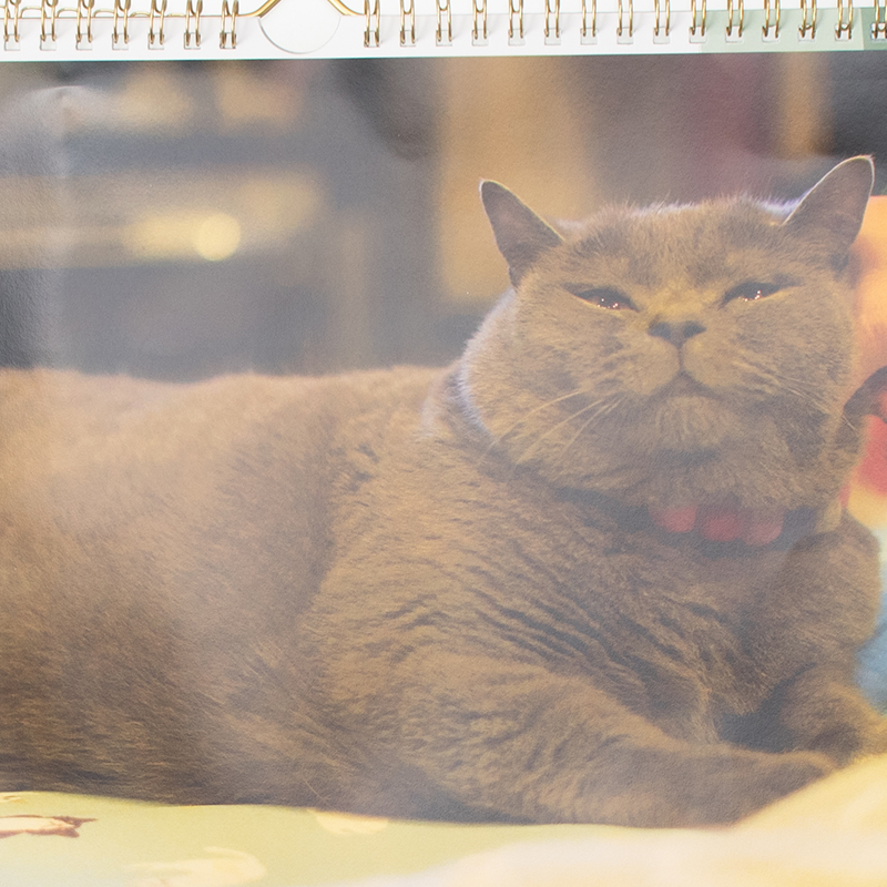 「都市再生(株) 様」製作のオリジナルカレンダー ギャラリー写真3