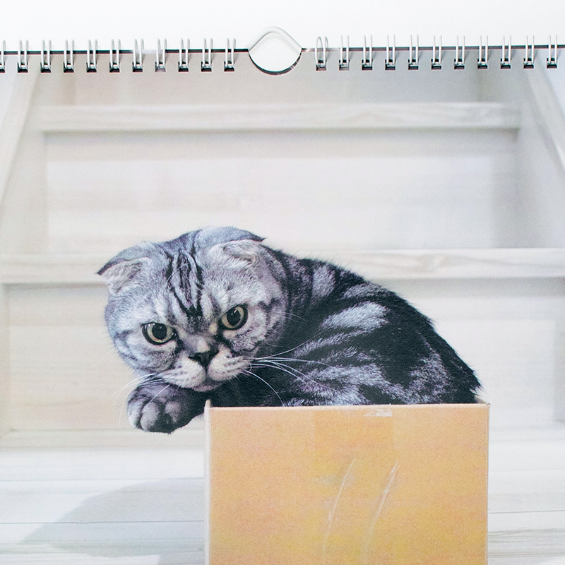 「Taco 様」製作のオリジナルカレンダー ギャラリー写真2