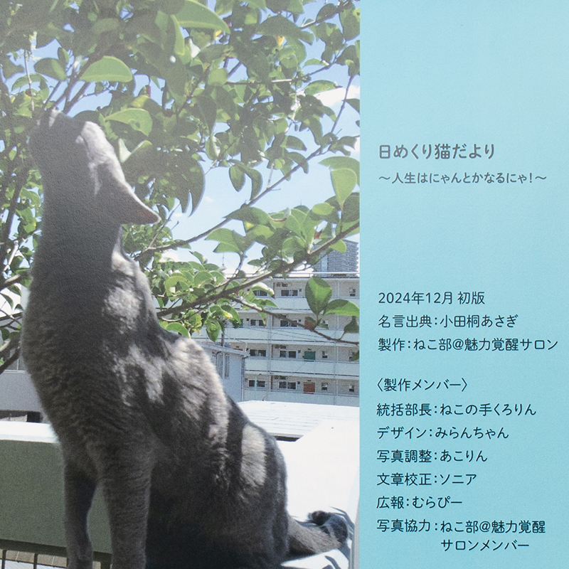 「ねこ部@魅力覚醒サロン 様」製作のオリジナルカレンダー ギャラリー写真4