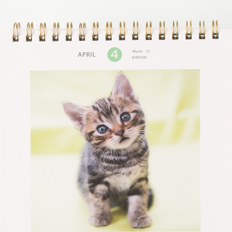 「有限会社風呂猫 様」製作のオリジナルカレンダー ギャラリー写真3