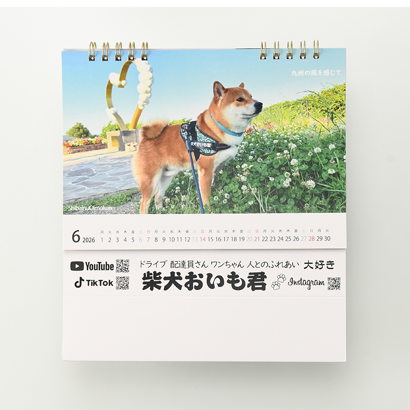 「柴犬おいも君 様」製作のオリジナルカレンダー ギャラリー写真2