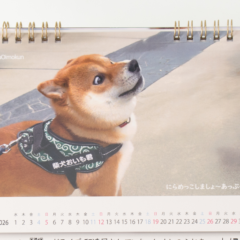 「柴犬おいも君 様」製作のオリジナルカレンダー ギャラリー写真3