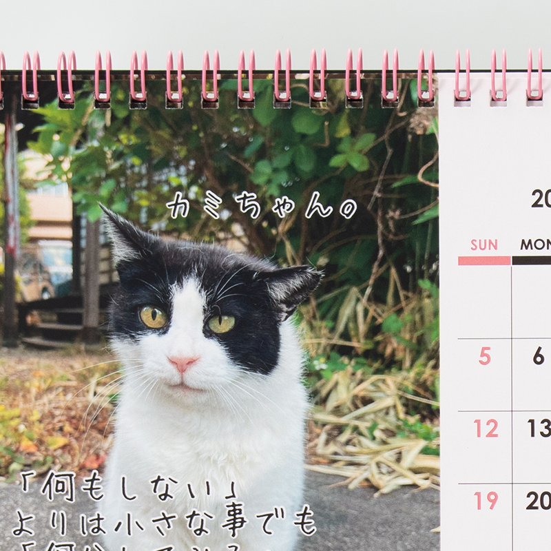 「越路ねこ部 様」製作のオリジナルカレンダー ギャラリー写真3