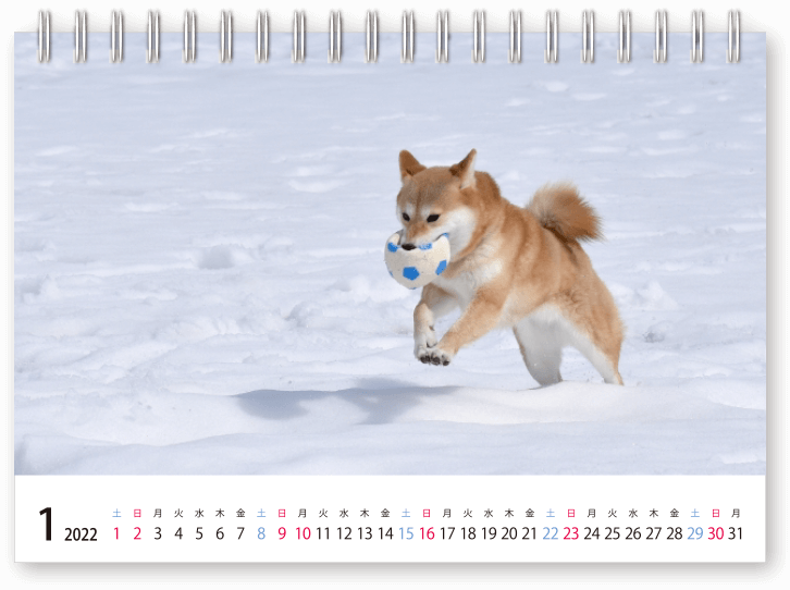 2022年卓上カレンダーテンプレート_01