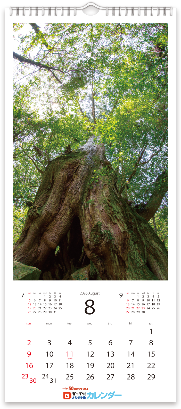 2026年4月始まり掛軸カレンダーテンプレート_01